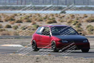 media/Oct-24-2025-Doghouse Garage (Fri) [[783d2ff07a]]/1-Advanced/Session 2 Turn 5 Tree of Life/